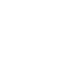 Rion Elétrica
